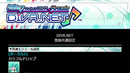 DIVA.NET